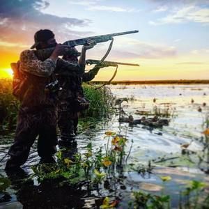 Meet your Posher, Gage